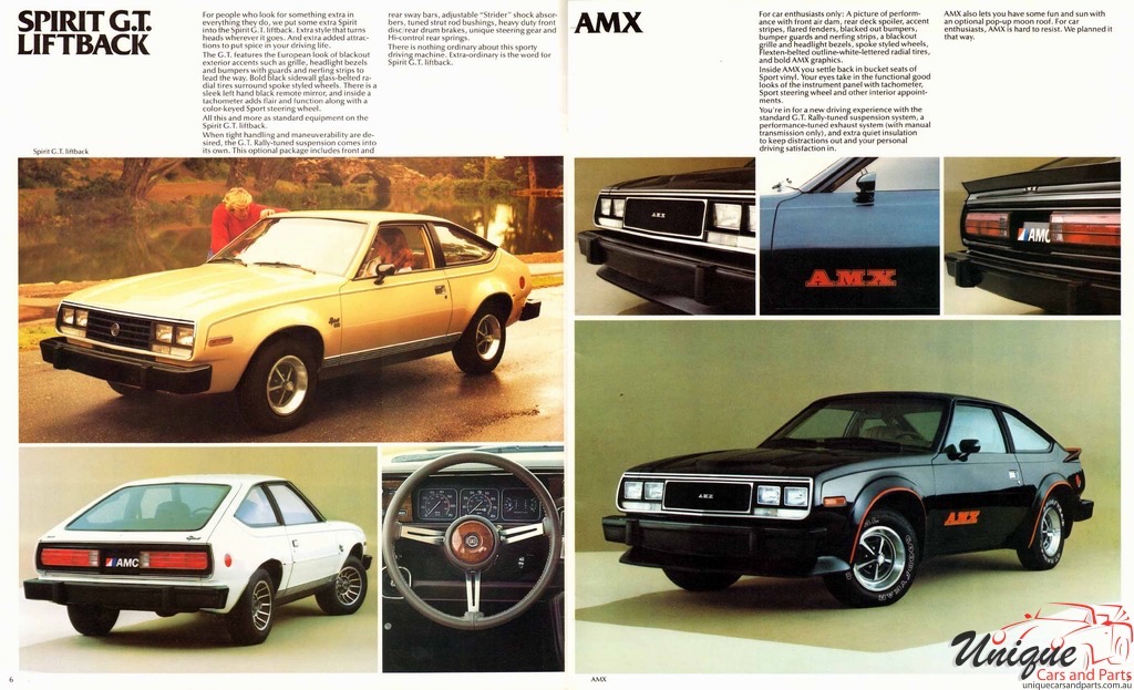 1980 AMC Full Line Prestige Brochure Page 13